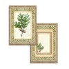 Stamperia Winter Botanic Scrapbooking Cards sbbpc06