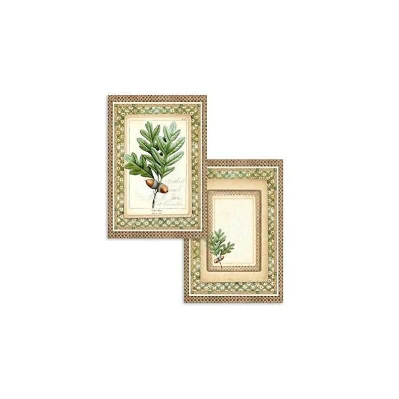 Stamperia Winter Botanic Scrapbooking Cards sbbpc06