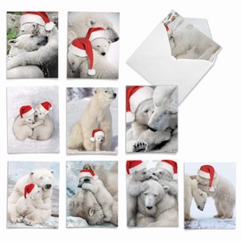 The Best Card Company Variety Pack of 10 Christmas Greeting Cards with Envelopes, Humor Holiday Assortment for Men and Women (10 Designs, 1 Each) - Bear Hugs AM6327XSG-B1x10