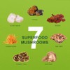 ORGFUN Mushroom Matcha - Ceremonial Matcha with Superfood Mushrooms