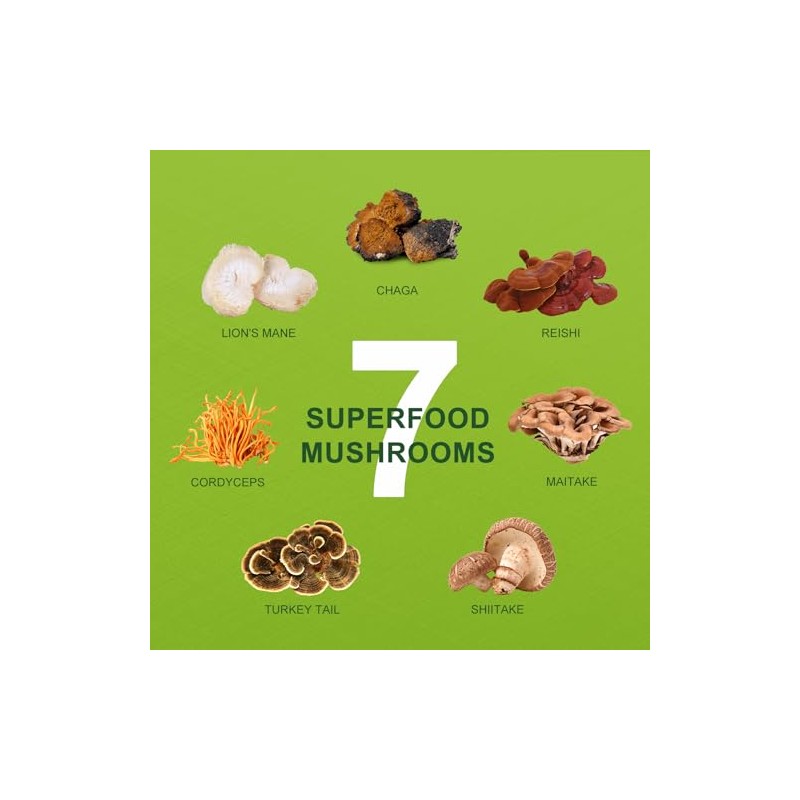 ORGFUN Mushroom Matcha - Ceremonial Matcha with Superfood Mushrooms