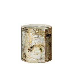 Serene Spaces Living Large White Birch Bark Vase with Glass Interior, Decorative Centerpiece, Rustic Accent Piece, Ideal for Natural Wedding Tablescape, Vintage Home Decor, 4.5" Diameter & 6.5" Tall
