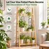Metal Plant Trellis for Climbing Plants – Decorative Garden Stake