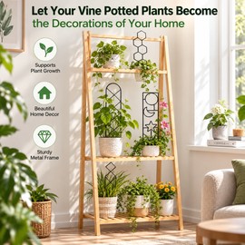 Metal Plant Trellis for Climbing Plants – Decorative Garden Stake Support with 14 Style Options for Potted Flowers & Vines