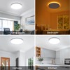 SunRider LED Flush Mount Ceiling Light Fixture with Night Light,