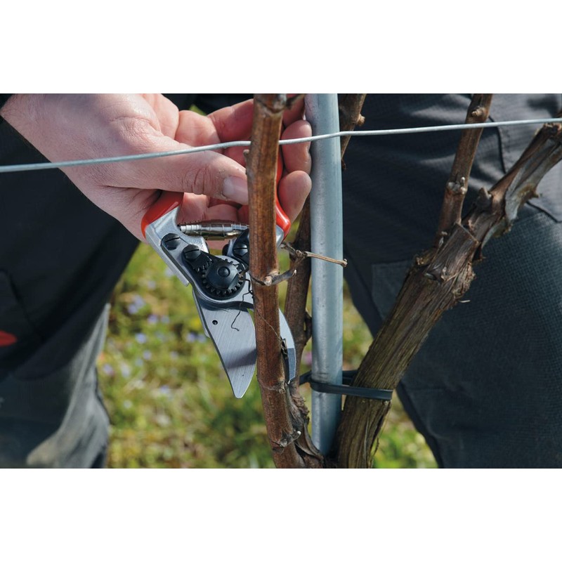 felco 8 classic (felco #8)