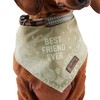 Reddy BFF Dog Bandana Small/Medium Green