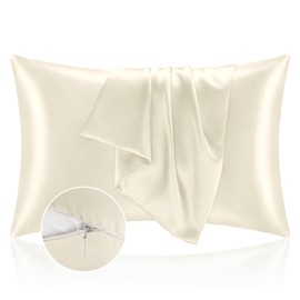 BEDELITE Satin Pillowcase with Zipper 2 Pack, Beige Pillow Cases Standard Size, Super Soft and Cooling Similar to Silk Pillow Cases, Gift for Women Men(20x26 Inches)