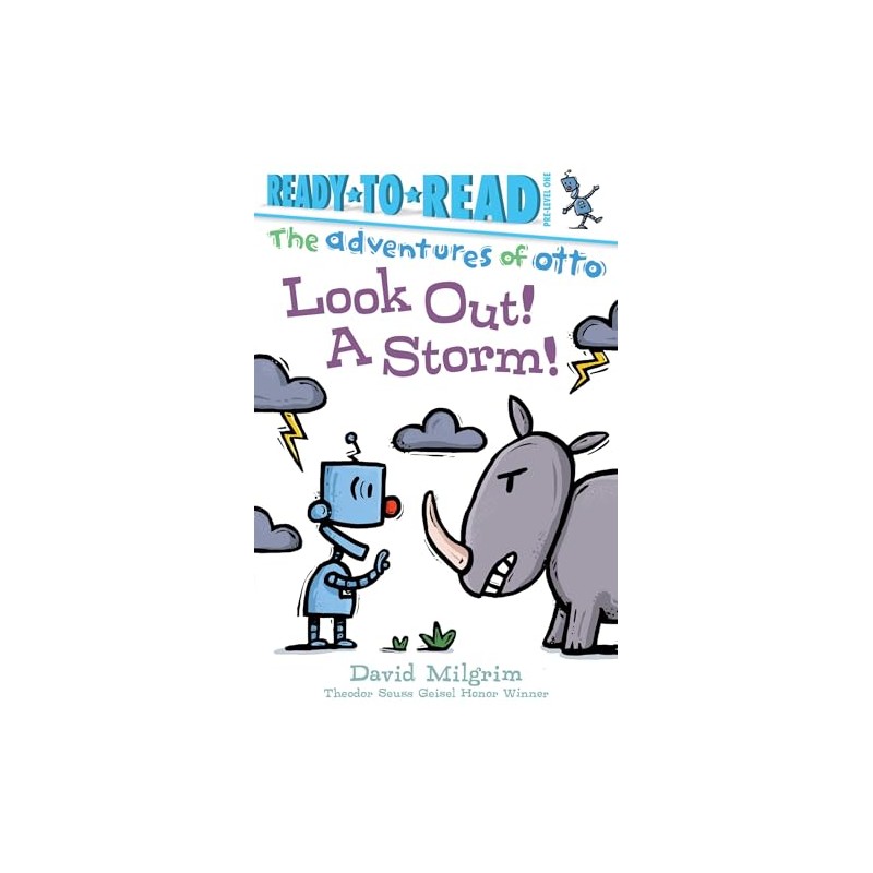 Look Out! A Storm!: Ready-to-Read Pre-Level 1