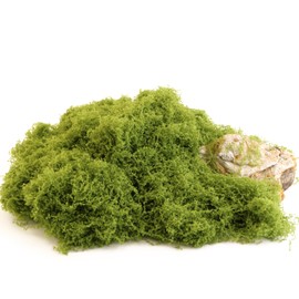 Caiyjhao Artificial Green Moss is Used for Potted Plants, and Moss Crafts are Used for Fairy Tale Garden Houses, Garlands, Glass Container Fillers and Wedding Wall Decoration (7.05 Ounces)
