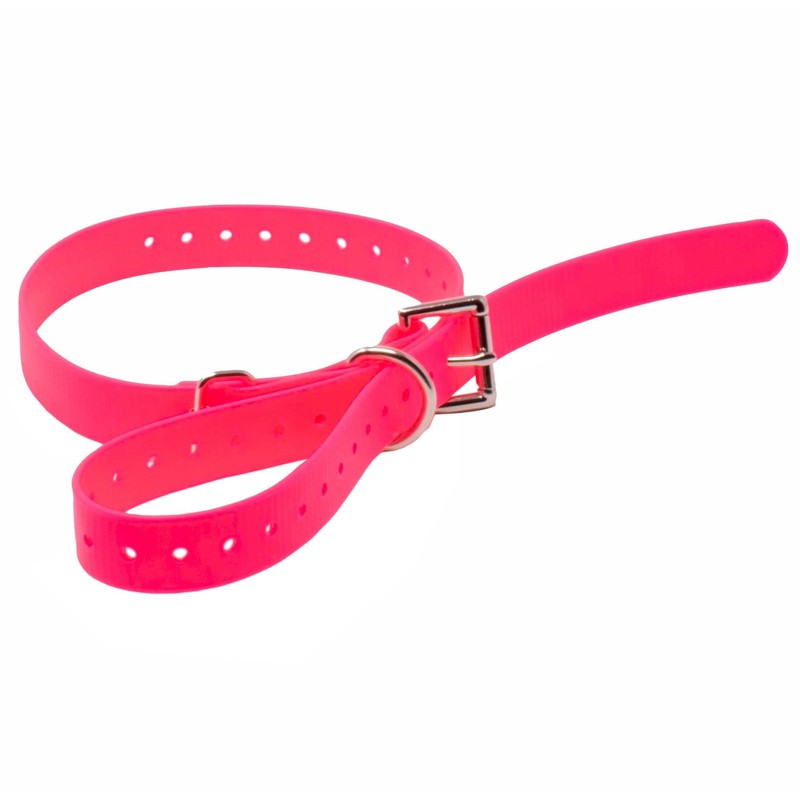 Educator Biothane Dog Collar, Waterproof, Odorproof, Metal Buckle and D