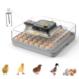 Unbranded 48Egg Incubator for Hatching Chicken DuckQuail&Parr