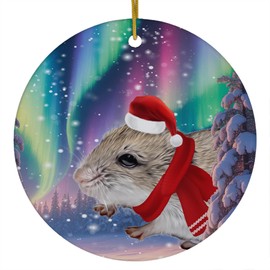 Funny Chinese Hamster Christmas Ornament 2025 Ceramic Circle White - Festive Winter Northern Lights Holiday Xmas Tree Hanging Decoration Gifts for Hamster Lovers