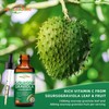 HEALOADING Soursop Bitters Liquid Drop: Organic Graviola Soursop Leaf Extract