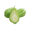 Chayote Plant With Pot 8” Live Plant Ready To Plant