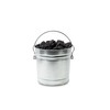 Behrens 6 Gallon Rust Proof Galvanized Steel Locking Lid Dry