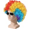 BSBUY Afro Wig Men's Curly Wig Disco Clown Wig Rainbow