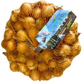 KOVA® 2 x 500 g Stuttgart Giant Yellow Mild Sharp Vegetable Onions Yellow Onions in High Quality for Planting in Spring, No Seeds, Onion in Net + 1 Picture Magnet