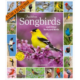 Audubon Songbirds and Other Backyard Birds Picture-A-Day® Wall Calendar 2025