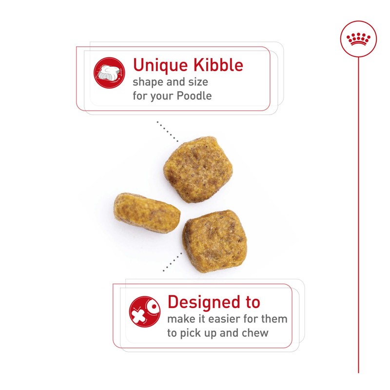 Royal Canin Poodle Adult Breed Specific Dry Dog Food, 2.5