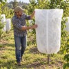 Winter Plant Cover Freeze Protection Bag – Reusable Frost Cloth