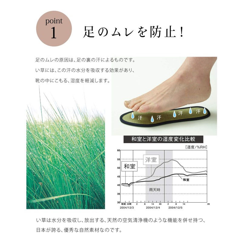 Ikehiko Corporation 4956642731351 Insole, Made with Rush Insole, Navy, 10.2