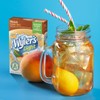 Wyler's Light Singles To Go Powder Packets, Water Drink Mix,