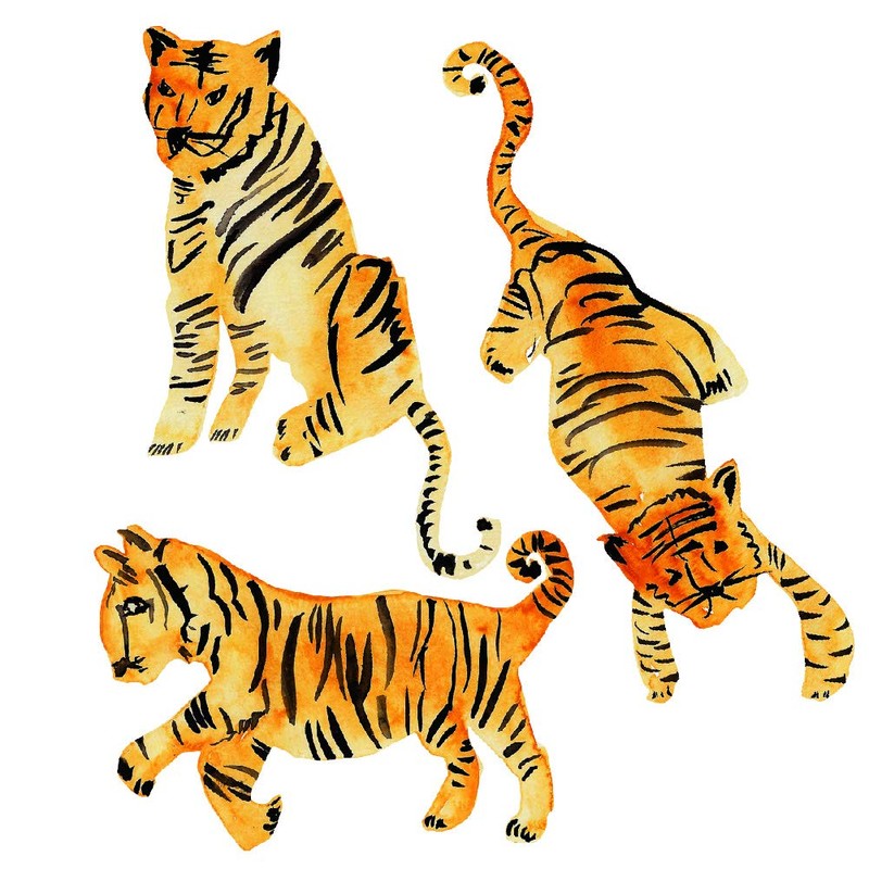 Tempaper Watercolor Tiger Peel and Stick Wall Decals, Orange &