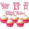 ZHUOWEISM 30PCS Happy 13th Birthday Cupcake Toppers Cheers to 13