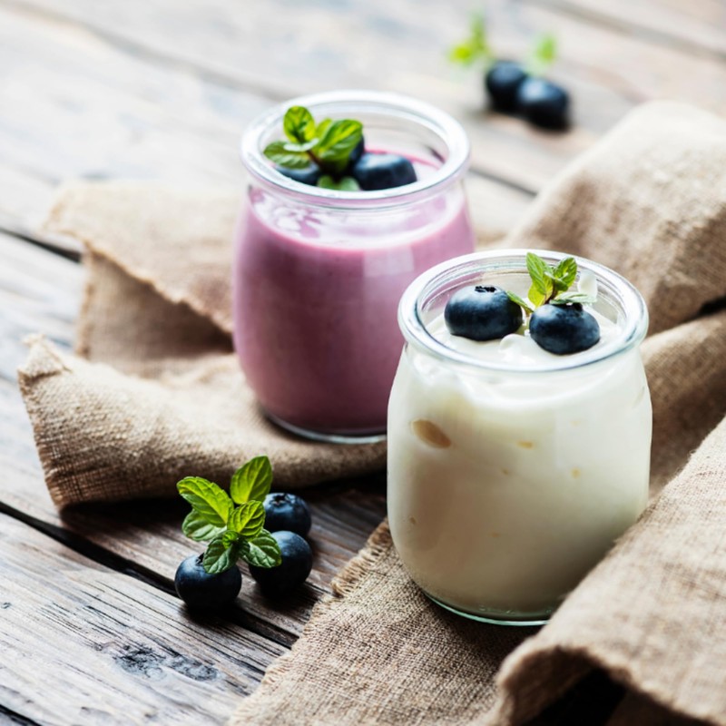 Freshly Fermented - Organic Certified Freeze Dried Yoghurt Starter Culture,