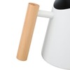 Watering Can with Long Spout 800ml Stainless Steel Matte Indoor