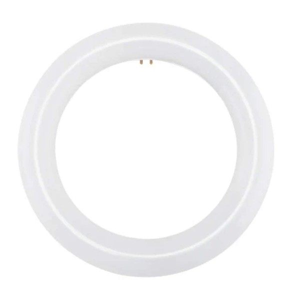 NYLL - 16 Inch/ 16" Plug & Play T9 Circline