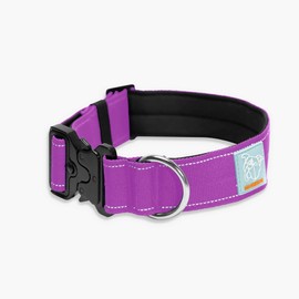 DF Co. Tactical Dog Collar | Comfortable & Secure with Quick Release Clip Buckle and Heavy Duty D-Ring | Soft Padded Neoprene, Chafe Resistant, Night-Time Visibility | Purple, Size M