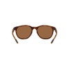 Native Men's XD9042 Targhee Round Sunglasses, Matte Tortoise/Bronze Mirrored Polarized,