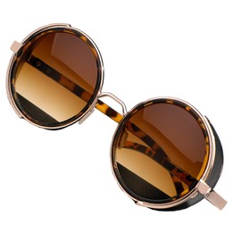 Unisex Round Steampunk Sunglasses Mirrored 50s Glasses Cyber Goggles MFAZ Morefaz Ltd (Panther)