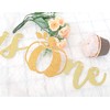 Our Little Pumpkin Is One Banner - Pumpkin First Birthday
