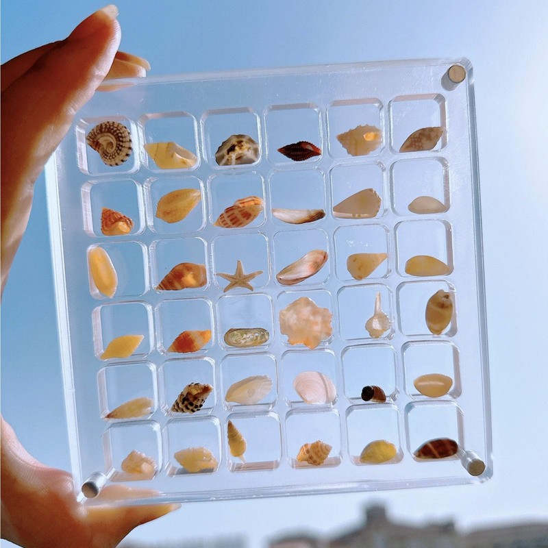 SSKHE 36 Grids Acrylic Magnetic Seashell Display Box, Clear Mini
