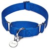 Dazzber Martingale Collar, Medium, Royal Blue, Neck 14 Inch -21
