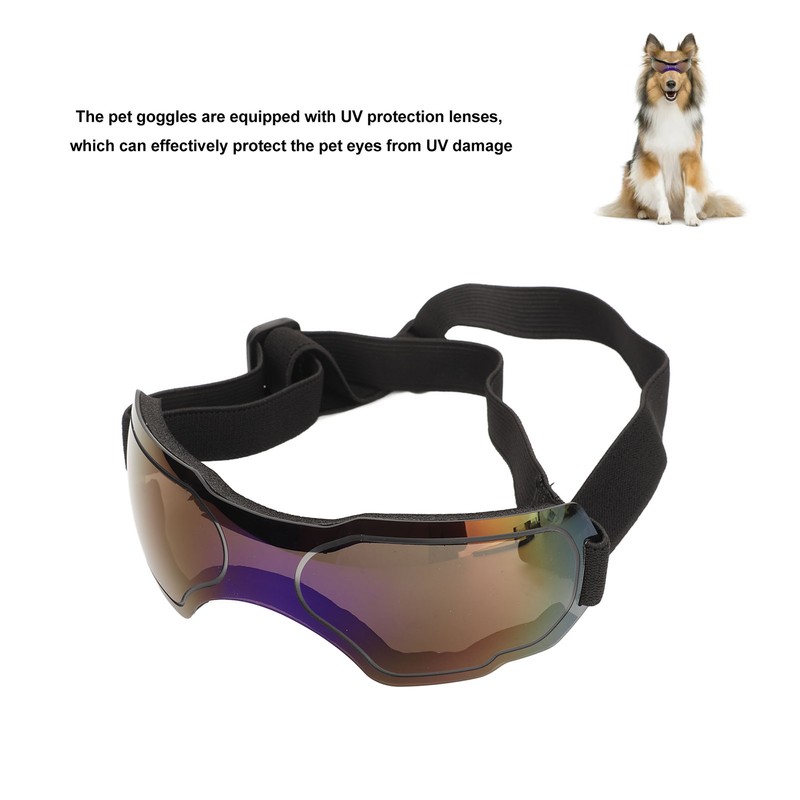 Dog Goggles Wind and UV Protection Pet Glasses Dustproof Sunglasses