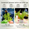 WishLotus 4Pcs Anti-Floating Ceramic Aquatic Plant Rings, 3.5CM Ceramic Aquatic