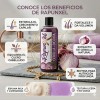 Shampoo Rapunzel Crecimiento Cebolla Biotina 500ml