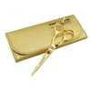 Professional 14 cm 5.5 'Golden Hairdressing Scissors with Presentation Case