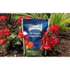 Milorganite All-Purpose Slow-Release Nitrogen Fertilizer 6-4-0, 5lb (Pack of 2)