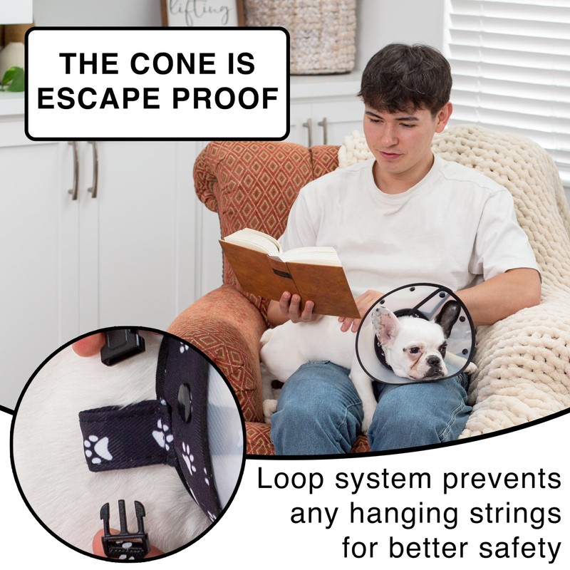 Soft Cone for Cats and Small Dogs - After Surgery