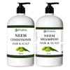 Zatural Neem Scalp Shampoo (16oz Shampoo & Conditioner Kit)