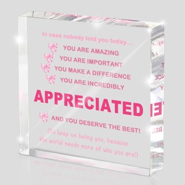 MUZRUYOU Inspirational Gifts Ideas for Women, Motivational Acrylic Keepsake Home Office Desk Decor, Appreciation for Coworkers, Thank You Gifts for Women and Men Administrative Professionals