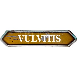 Vulvitis Golden Double Pointed end 8" Shaped Weathered Rustic Metal Look Magnet for use on Any Steel Surface