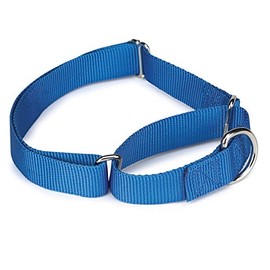 Guardian Gear Asst Color Bulk Martingale Dog Collars Shelter Rescue Litter Pick Size/Quantity (10-16 Inch 20 Collars)