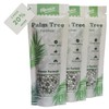 Palm Fertilizer - 3 Pack - Nursery Grade - Perfect
