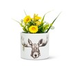 Abbott Collection 27-PL-CN-04-SM Small Forest Prince Moose Planter, White/Black